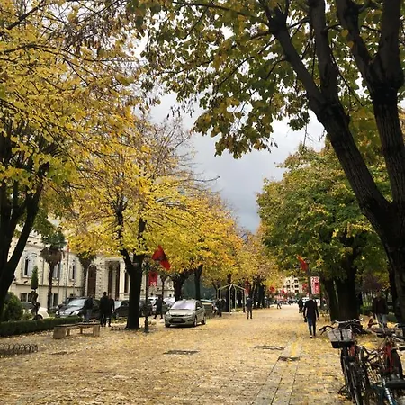 Cozy Center 公寓 *