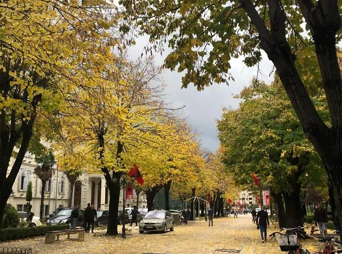 Cozy Center Appartement *